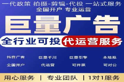 SEM推广公司成功案例：助力企业实现品牌多元化发展